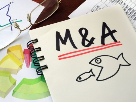 General process of an M&A - Due Diligence (DD) deal