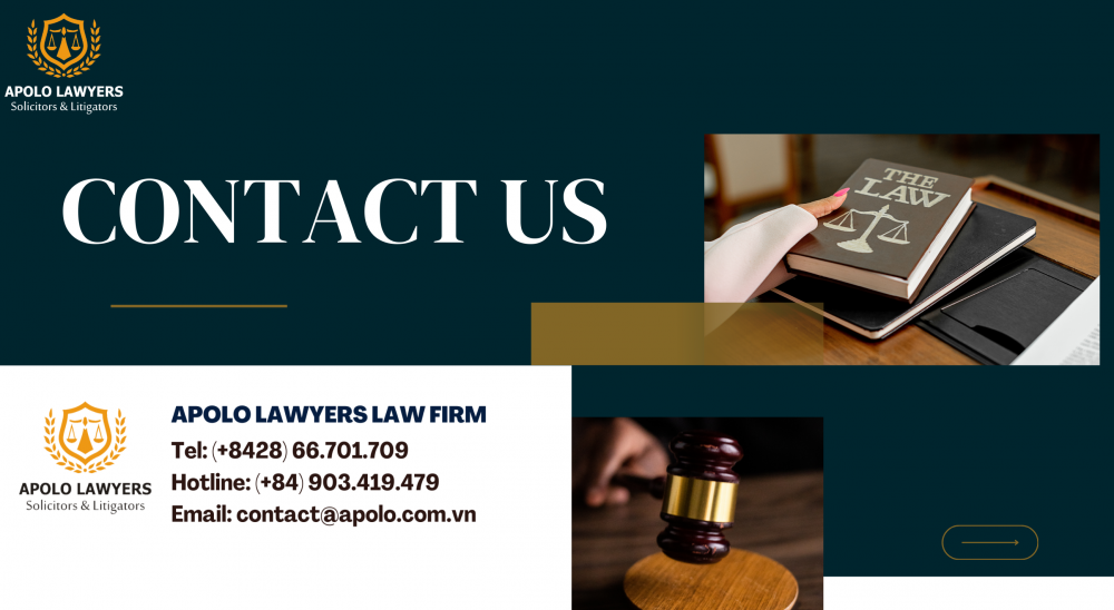 Legal Consequences of a False Affidavit of Single Status in Vietnam