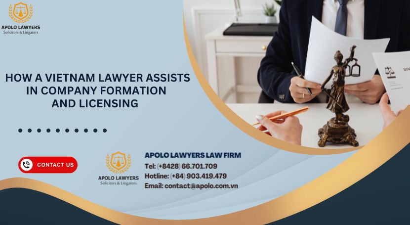 How a Vietnam Lawyer Assists in Company Formation and Licensing