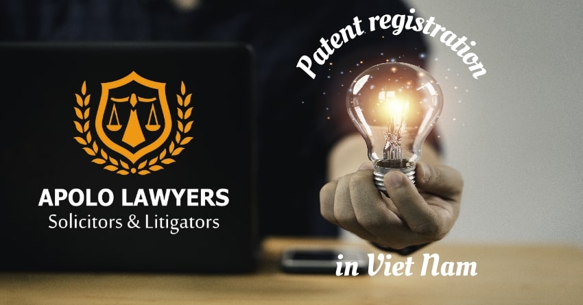 dich-vu-luat-su-apolo-lawyers